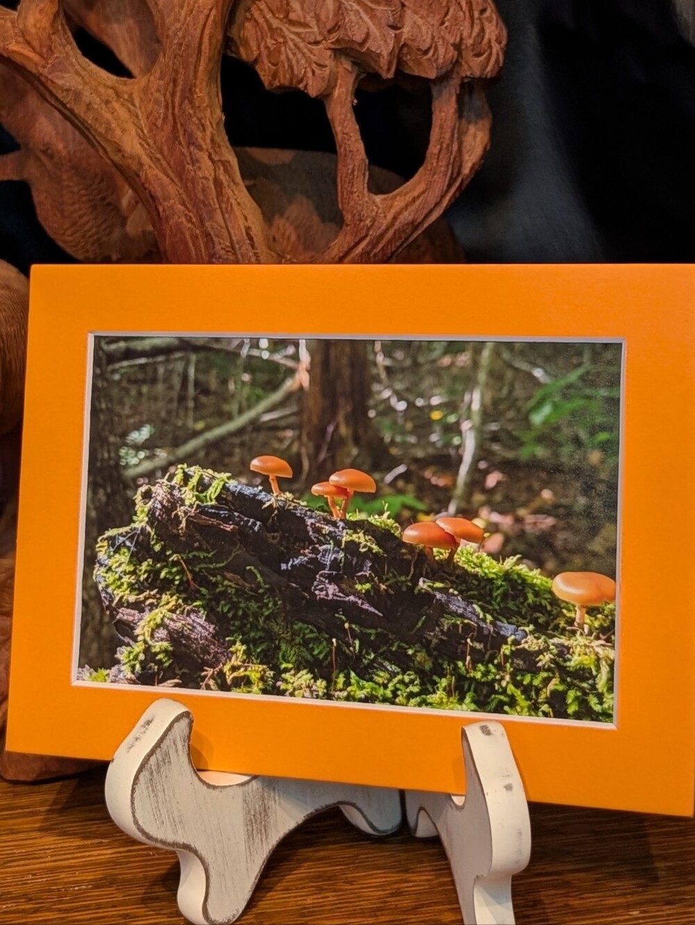 Original Photography Mushroom Sun- Worshipping 5x7 Orange Matted Print